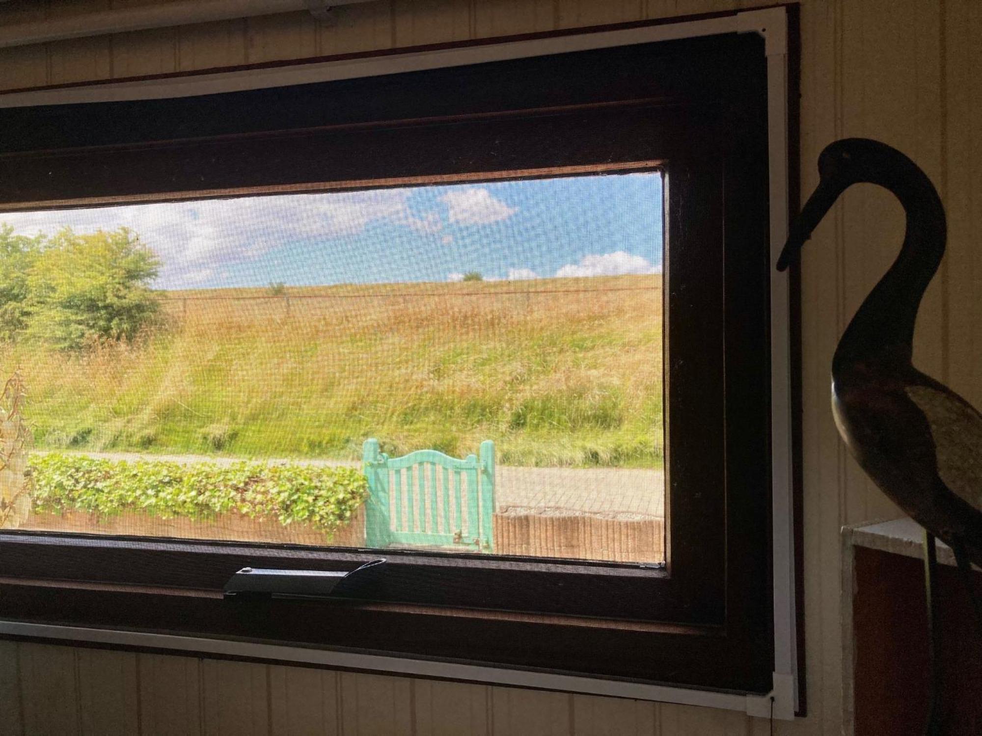 4 Pers Holiday Home Hilla With Winter Garden In Front Of The Dike Directly On The Lauwersmeer Anjum Bagian luar foto
